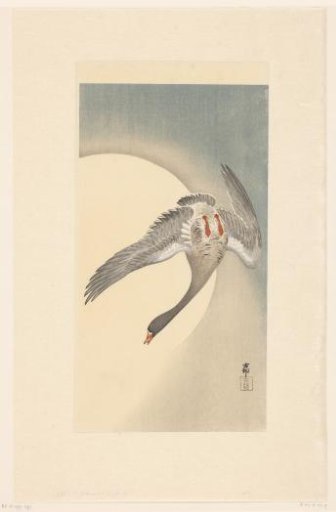 Barnacle Goose by the Full Moon
