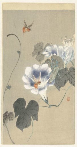 Insects by the Bindweed