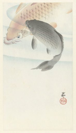 Two Carp