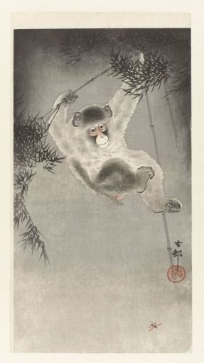 Monkey Hanging from a Bamboo Branch