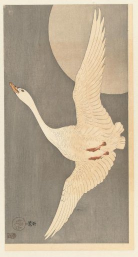 Goose by the Full Moon