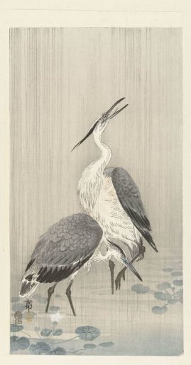 Two Herons in the Rain