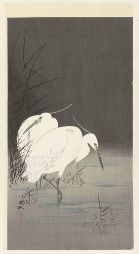 Two Silver Herons in the Reeds