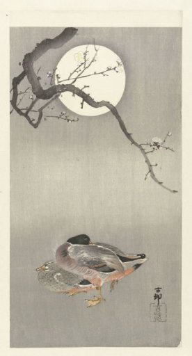 Ducks by the Full Moon