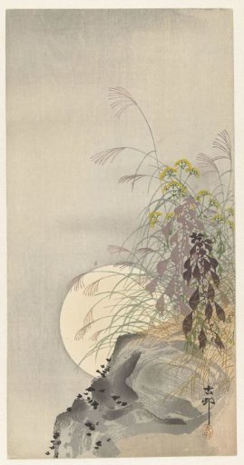 Grasses by the Full Moon