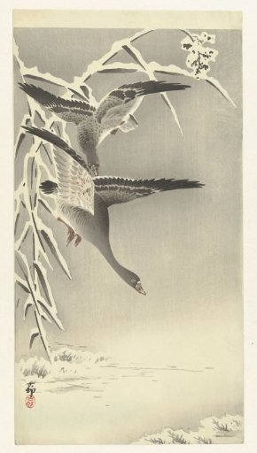 Two Barnacle Geese in a Snowy Landscape