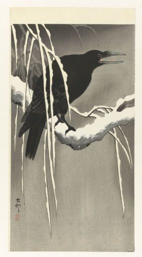 Crow on a Snowy Branch