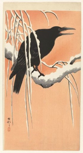Crow on a Snowy Branch