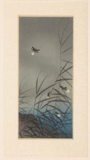 Fireflies
