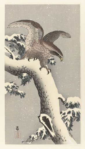 Eagle on a Snowy Pine