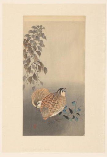Two Quails