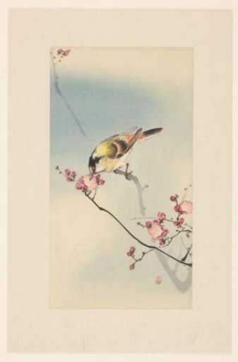 Songbird on a Blossom Branch