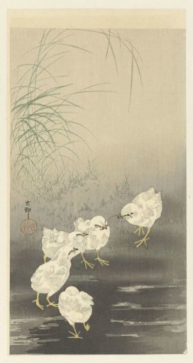 Chicks and Worm