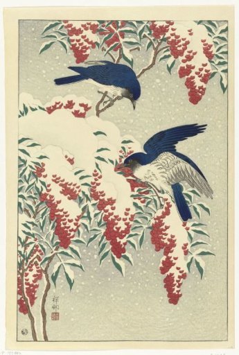 Flycatchers on Snow-Covered Nandin Bush