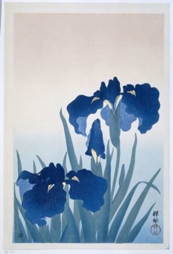 Irises