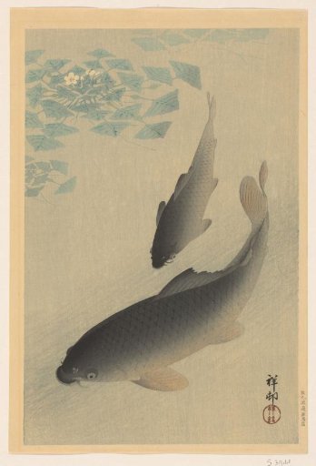 Two Carp