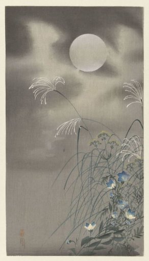 Grasses and Flowers by the Full Moon