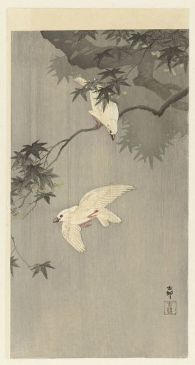 Birds in the Rain