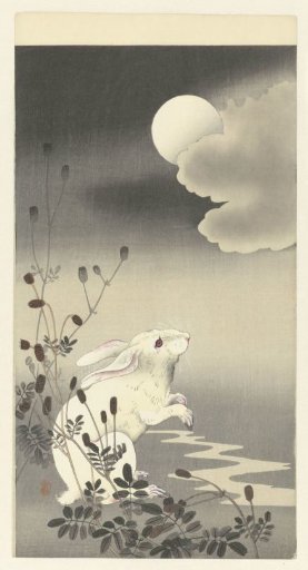 Rabbit by the Full Moon