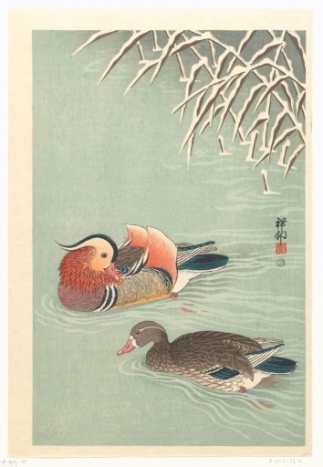 Mandarin Ducks
