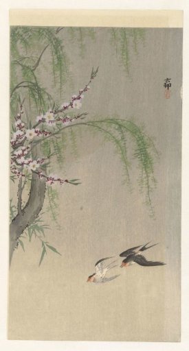 Swallows in Flight