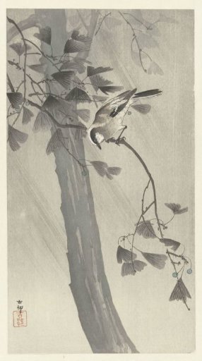 Great tit in a storm