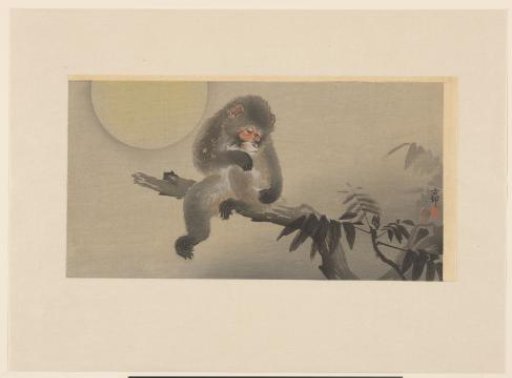 Monkey on a branch, by full moon