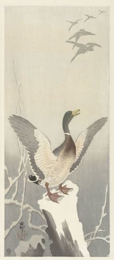 Duck on a snow-covered tree stump