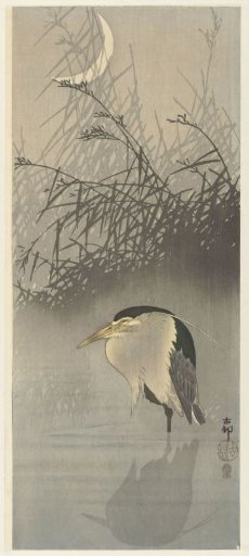 Heron at new moon