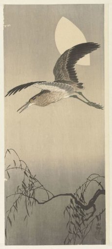 Heron and moon