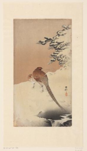 Pheasants in Snow