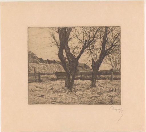 Knot Willows in a Meadow