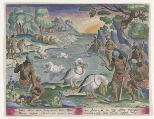 Fishing with the Aid of Pelicans