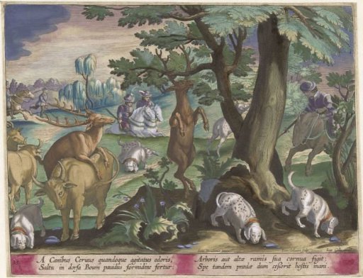 Stag Hunt with Dogs