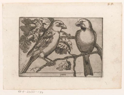 Two Birds on a Branch