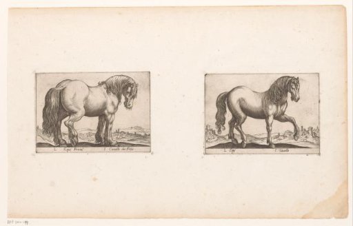 Horses