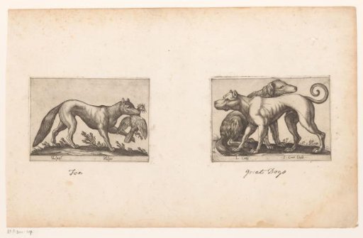 Fox and Two Dogs