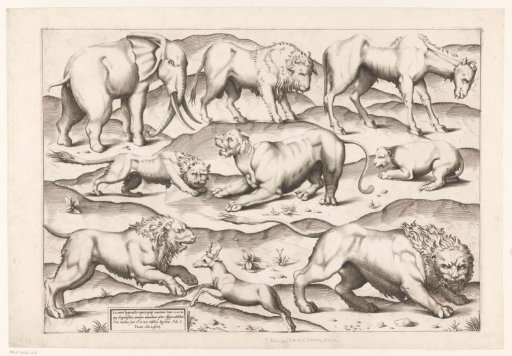 Nine wild animals