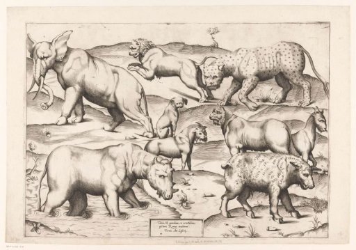 Nine animals