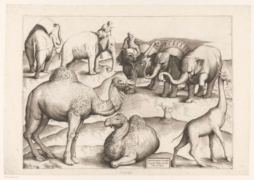 Eight animals