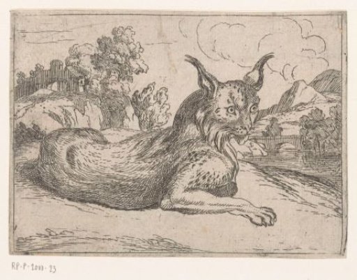 Lynx