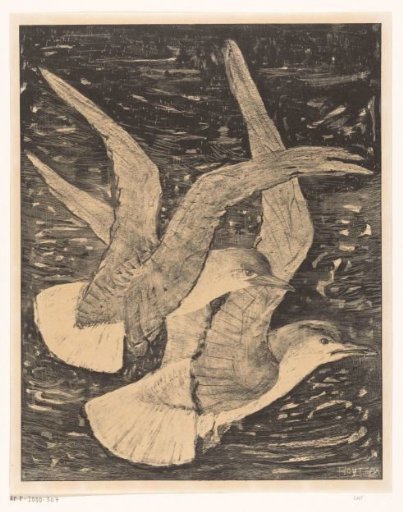 Two Flying Gulls