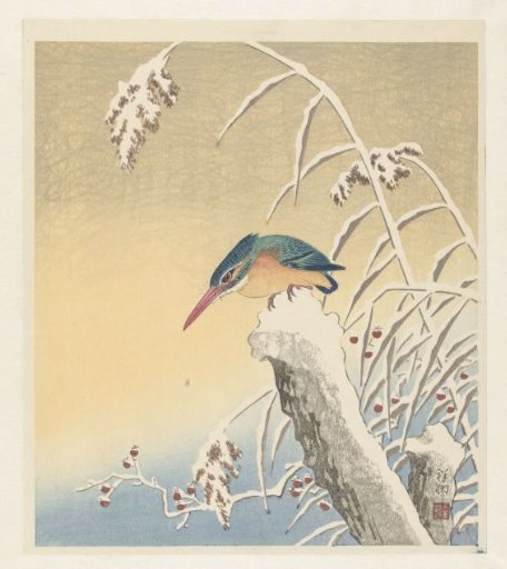 Kingfisher in Snow