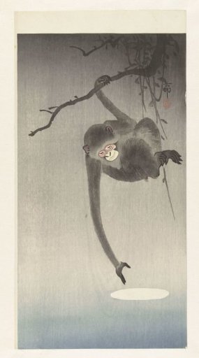 Monkey and the Reflection of the Moon