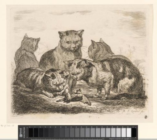 Five Cats and a Bird