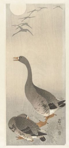 Two Geese
