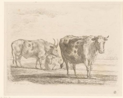 Three Cows