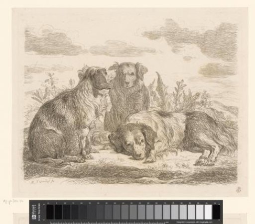 Three Dogs