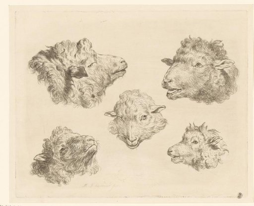 Five Sheep Heads