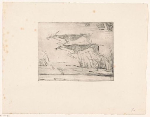 Two running gazelles
